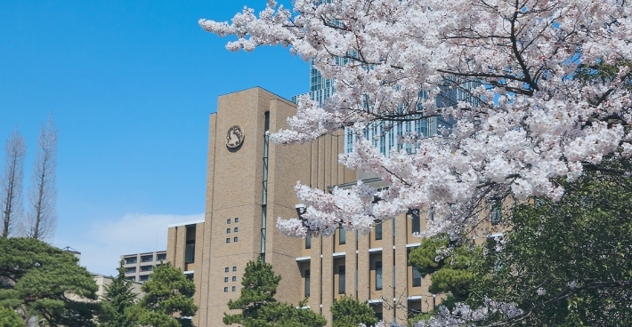 世界から東北大学へ