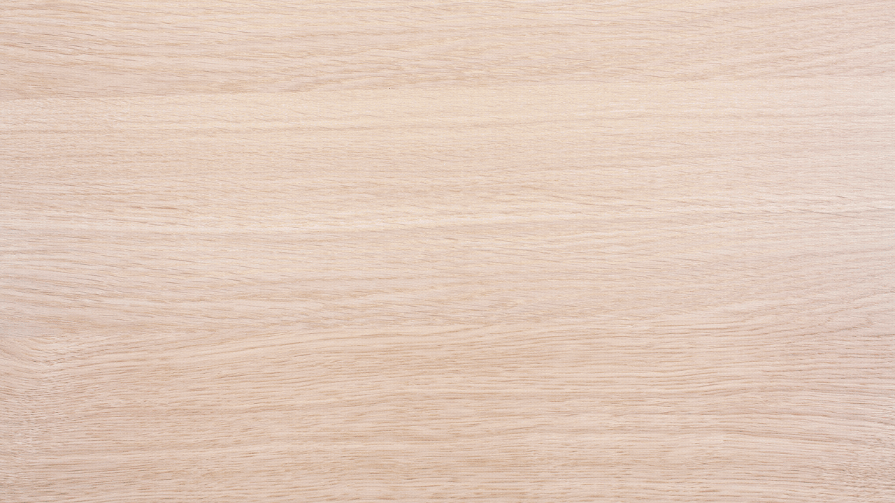 TGLプログラム説明会バナー